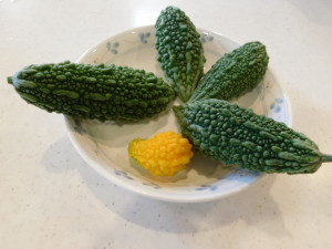 DSCN0355