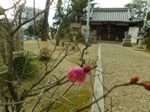 DSCN0321