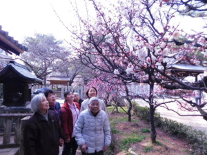 DSCN0833