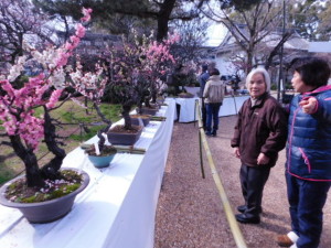 DSCN0837