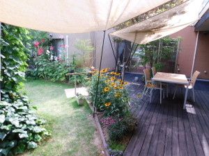 DSCN0389