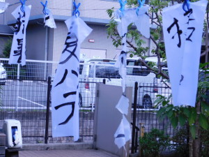DSCN0462
